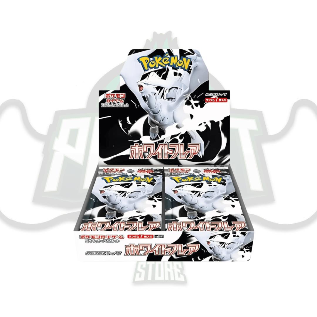 DISPLAY BOX 20 BUSTE - WHITE FLARE (JAP)